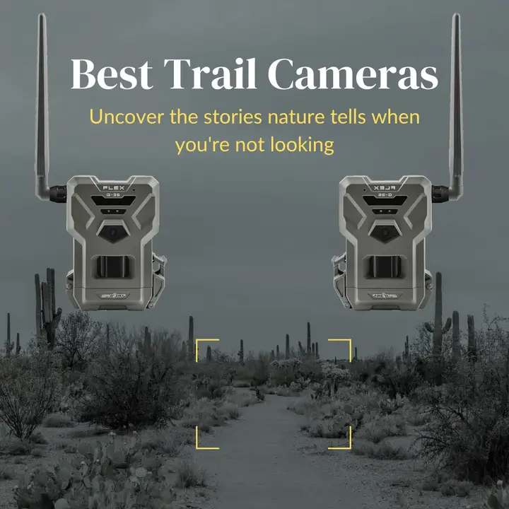 Best Trail Camera 2024 Close Probe